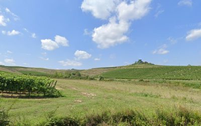 lari-400x250